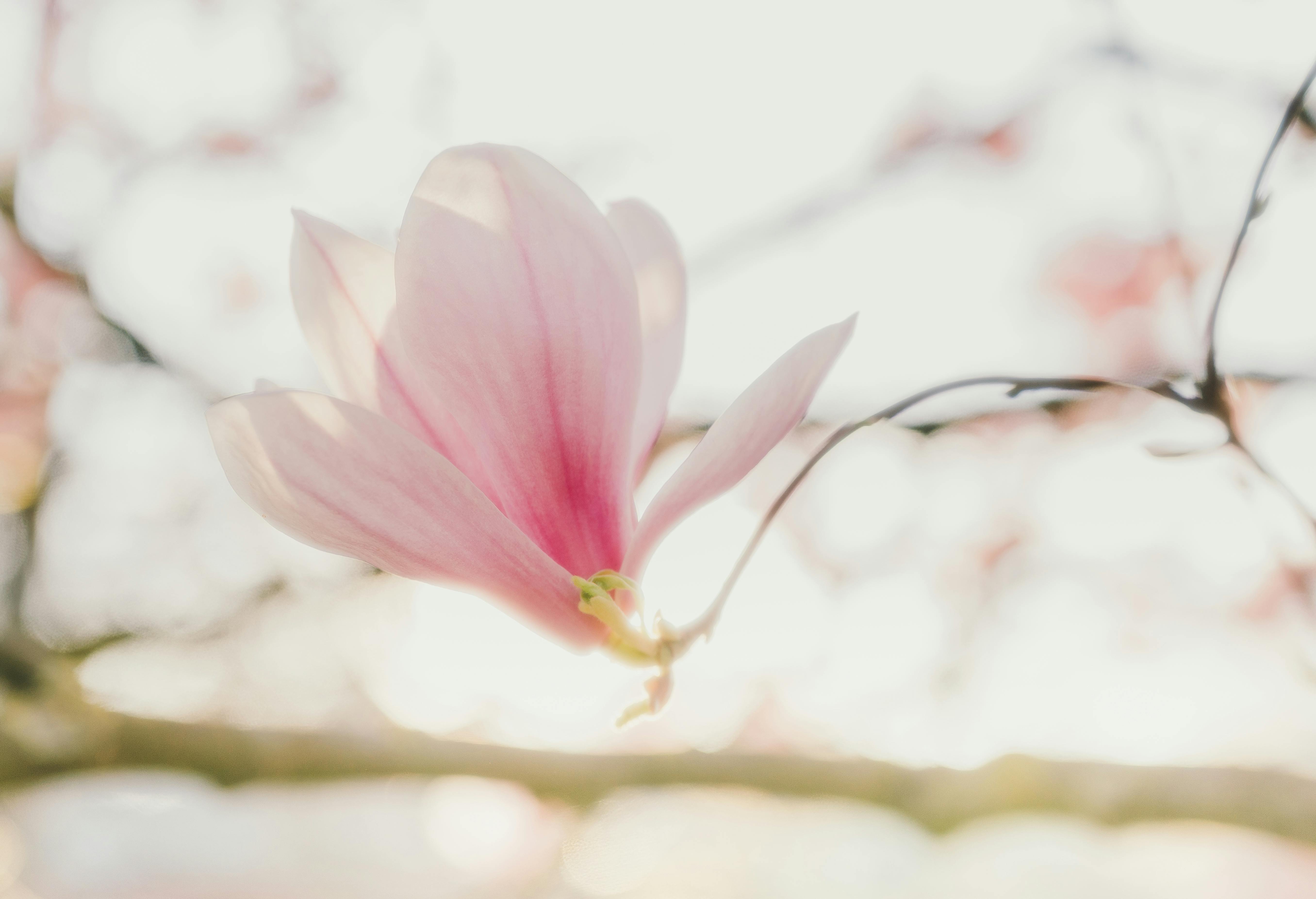 Claudia - Meisterfriseurin